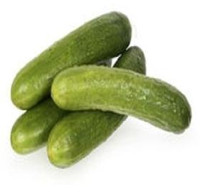 Cucumber Carrier Oil