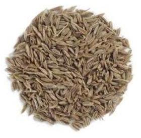 Cumin Seed Essential Oil