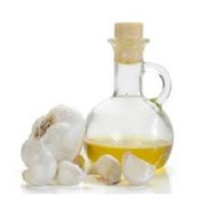 Garlic Essential Oil