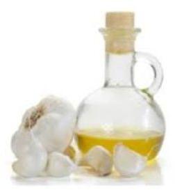 Garlic Essential Oil