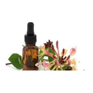 Honeysuckle Essential Oil