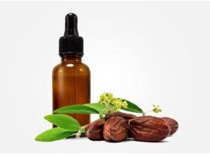 Jojoba Carrier Oil