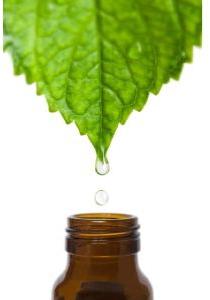 mint essential oil