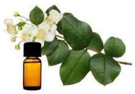 Myrtle Essential Oil