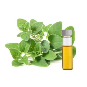 Oregano Essential oil