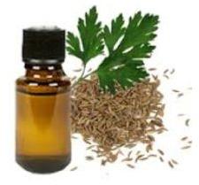 parsley seed essential oil