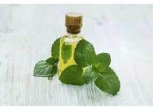 Peppermint Essential Oil