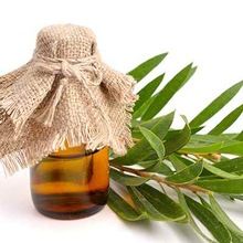 Tea Tree Oil