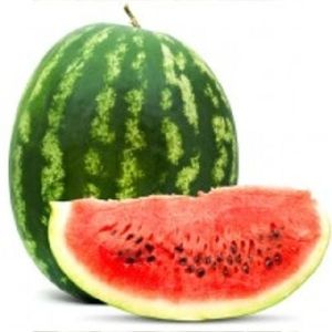 Watermelon Carrier Oil