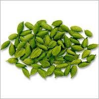 Cardamom