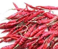 Red Chillies