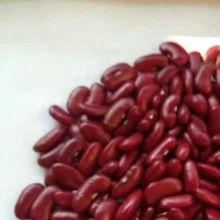 Red Kidney Beans