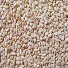 Sesame Seeds