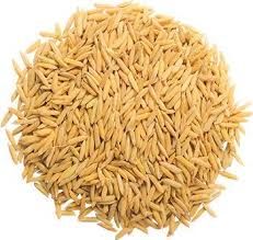 Paddy Rice