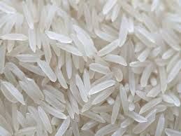 1121 white sella Rice