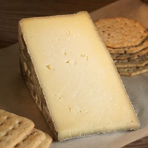 cow milk cheese