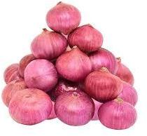 Fresh Red Onion