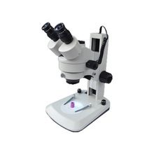 Stereo Microscope