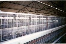 Chicken Poultry Cages