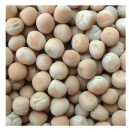 DRIED WHITE PEAS