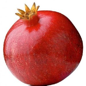 Fresh pomegranate