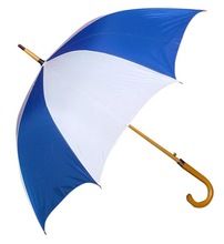 fold umbrella