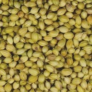 Indian Coriander Seeds