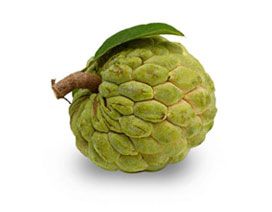 Custard Apple