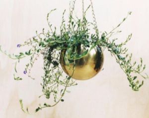 Brass Hanging Planter