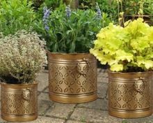 Brass Planters