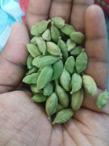 Cardamom