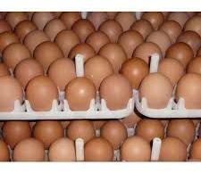 Nati Dp Eggs