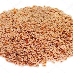 Psyllium Husk