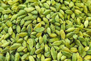 Green Cardamom-Queen Of Spices