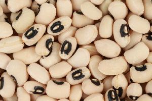 Fresh Cowpea