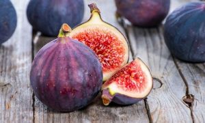 Fresh Fig