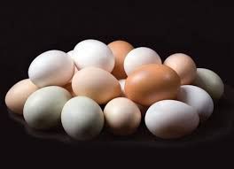 desi eggs