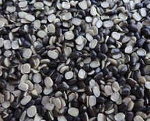 Black Lentils