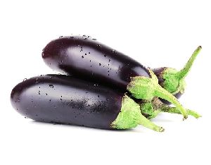 Fresh Brinjal