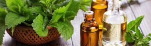 Spearmint Essential Oil