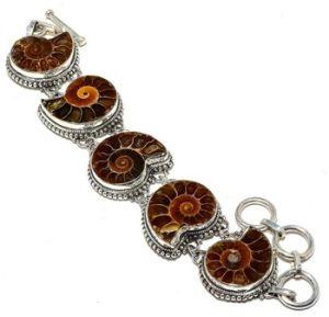 Ammonite Fossil Gemstone Bracelet