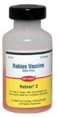 Rabies Vaccine Injection
