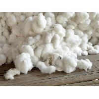 Indian Raw Cotton