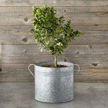 Galvanized Planter,