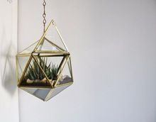 gold copper glass terrarium