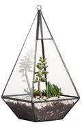 Metal and Glass Pyramid-shaped Terrarium