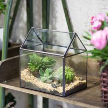metal planter Glass Geometric Terrarium