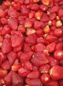 Fresh Strawberry