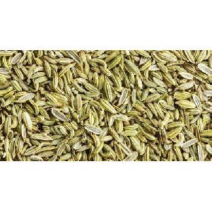 green fennel seeds