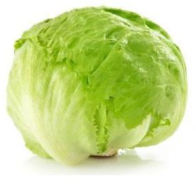 lettuce iceberg